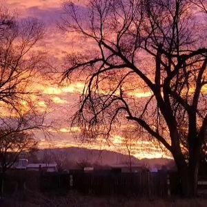 Meet your Posher, Judy